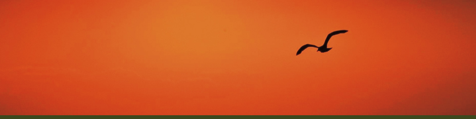 Image section don entreprise MAISON DE SOINS PALLIATIFS Francine Cuillerier Leclaire